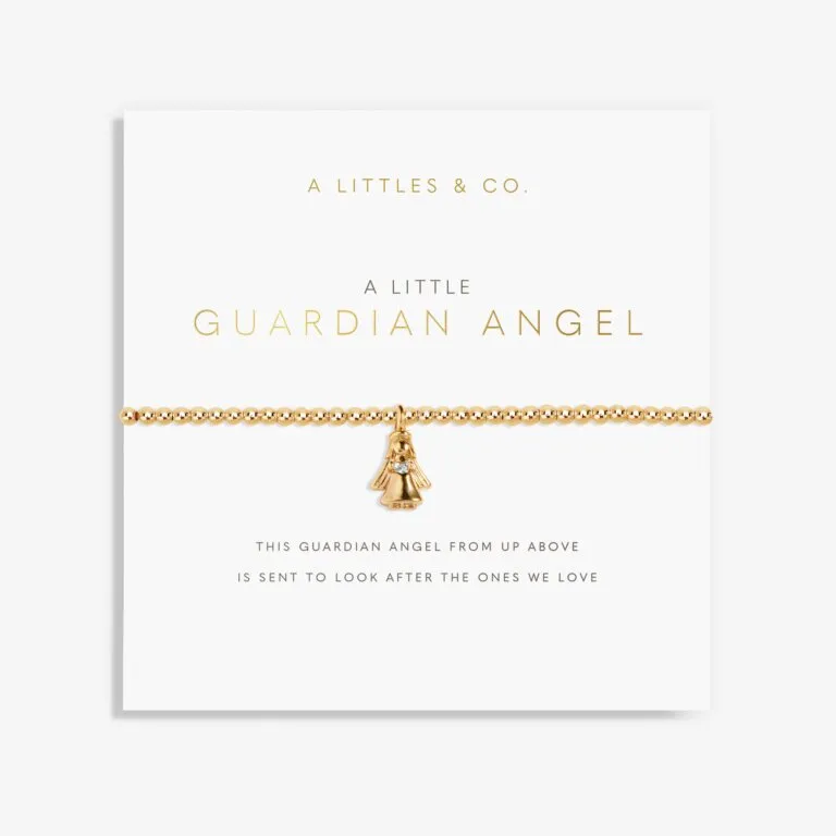 A LITTLE Guardian Angel