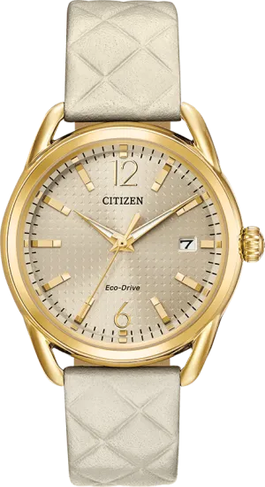 Citizen Eco Drive LTR (Long-Term Relationship) Women's Watch FE6082-08P