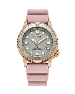 Citizen Ladies Eco-Drive Watch