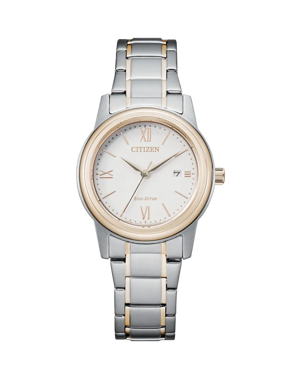 Citizen Lds Eco-Drive Brlt SSTT WR100