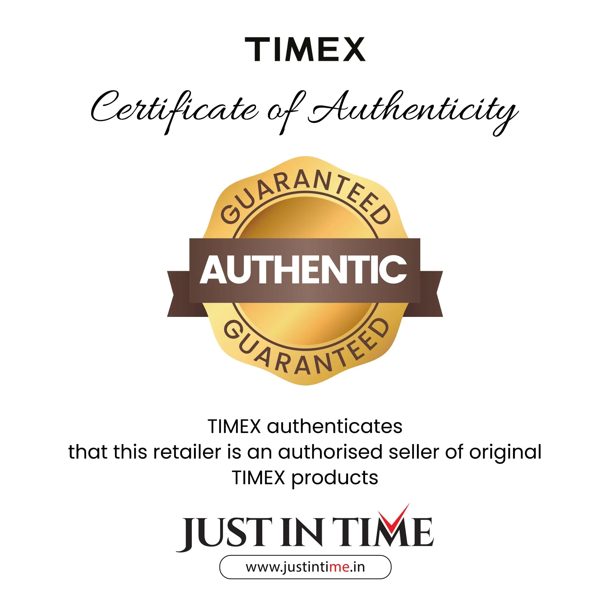Men Silver Analog Leather Watch TW0TG6009