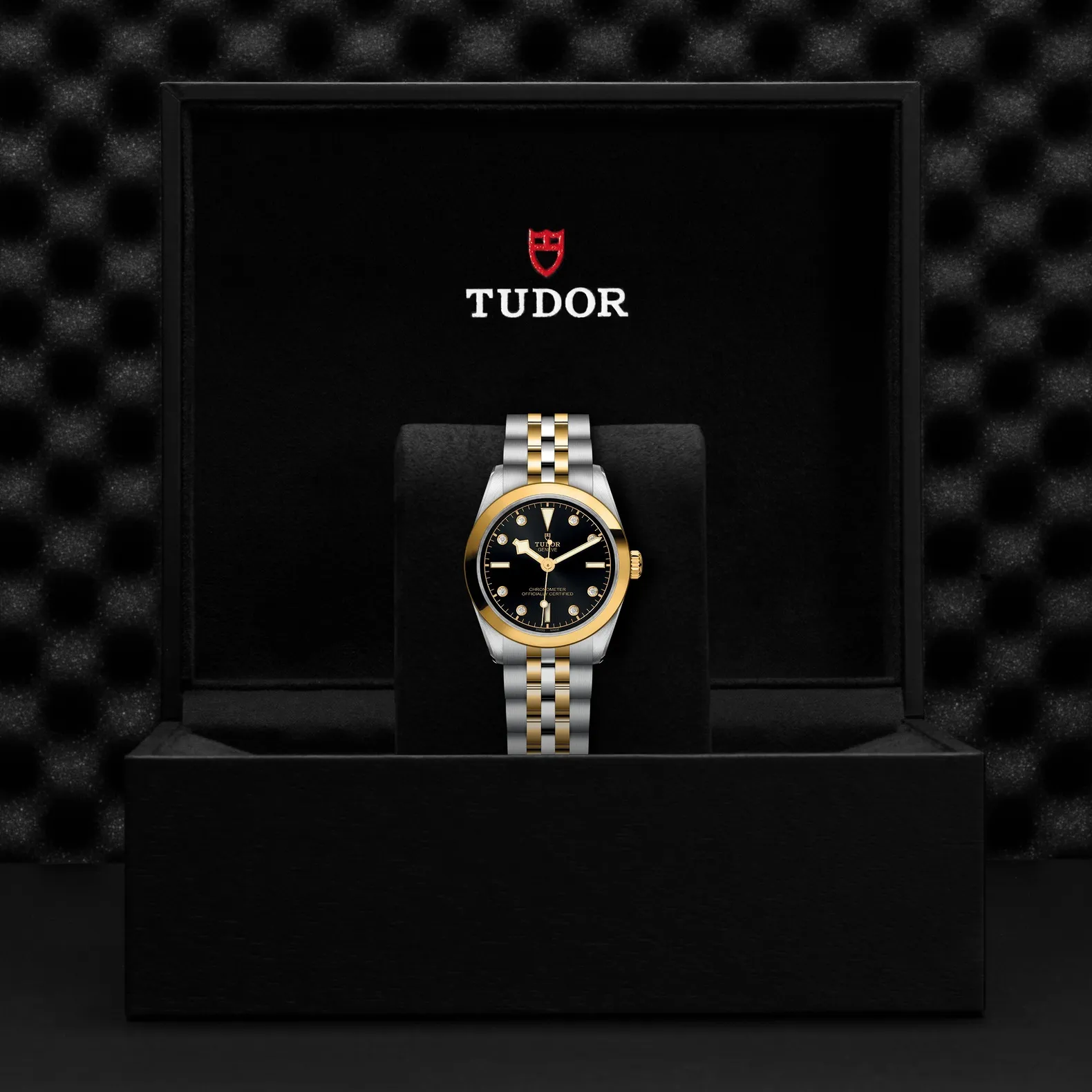 Tudor Black Bay 31 S&G