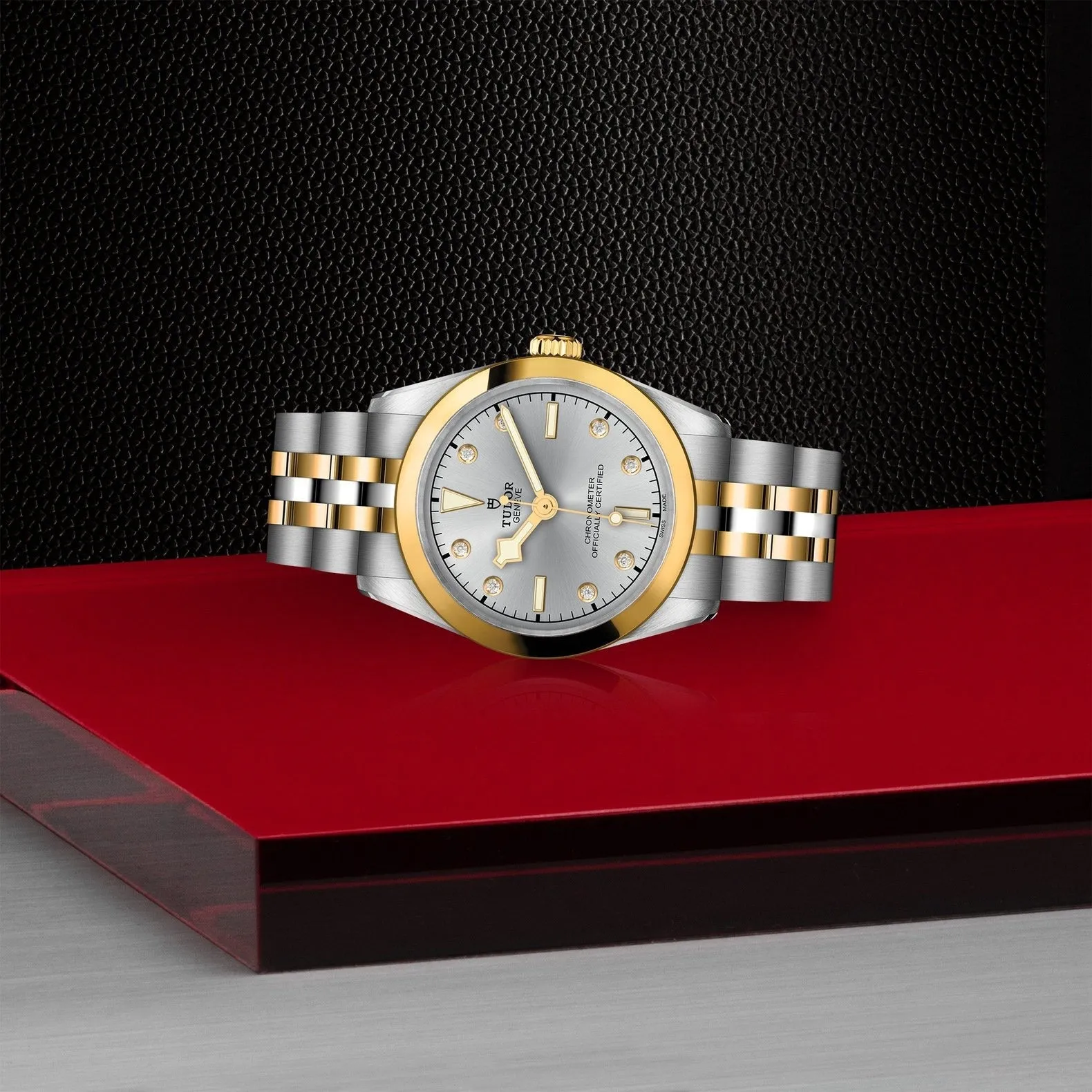 Tudor Black Bay 31 S&G