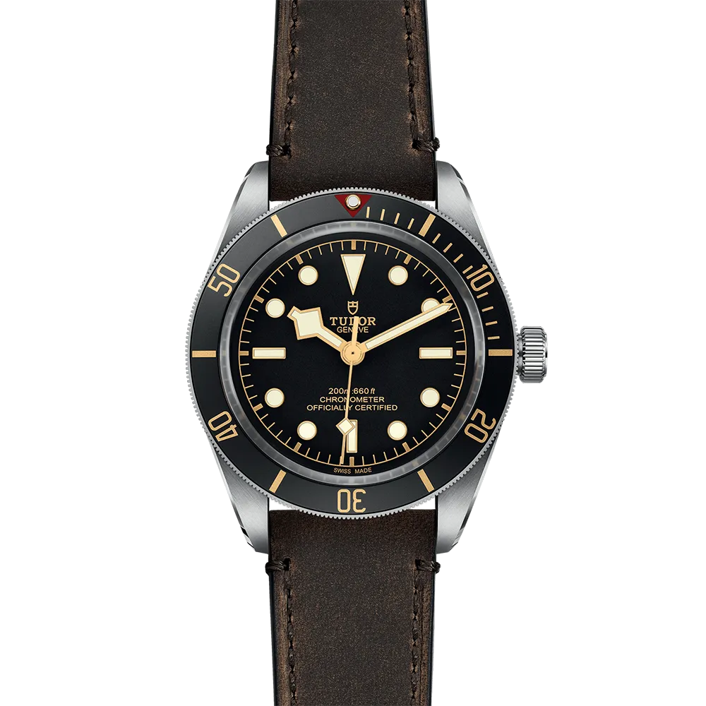 TUDOR Black Bay 58 M79030-0002